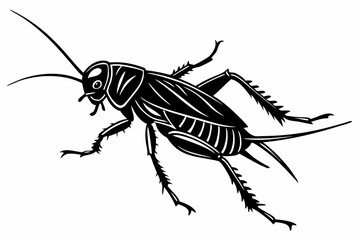 cricket sihouette black vector