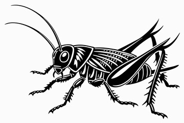 cricket sihouette black vector