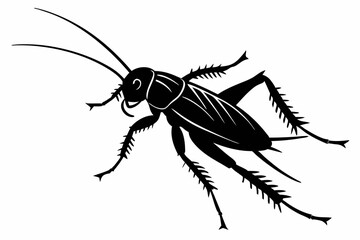 cricket sihouette black vector