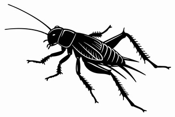 cricket sihouette black vector