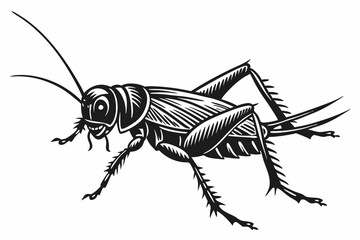 cricket sihouette black vector