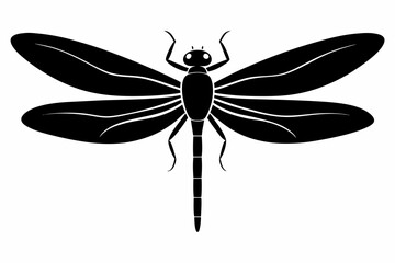 dragonfly sihouette black vector