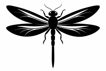 dragonfly sihouette black vector
