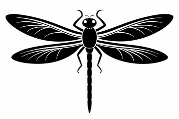 dragonfly sihouette black vector