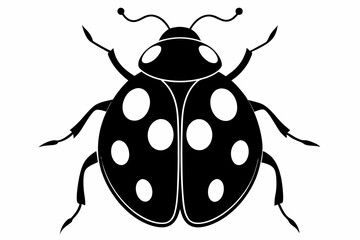 ladybug sihouette black vector