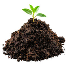 A small green plant sprout emerges from a mound of rich, dark soil.