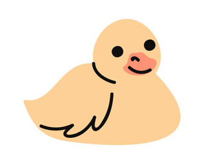 Duck hand drawn farm bird