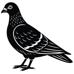 Pigeon Silhouette Vector – Black Bird Illustration, Urban Wildlife Art