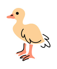 Little duckling hand drawn bird