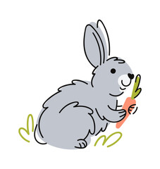 Grey rabbit hand drawn animal