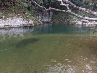 Exploración cascadas En Panama 