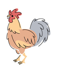 Cockerel hand drawn farm bird