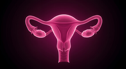 Detailed 3D Render of Glowing Pink Female Reproductive System
