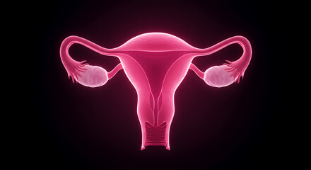 Glowing Pink Female Reproductive System 3D Medical Illustration