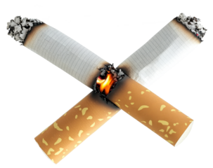 cigarette butt isolated on transparent background