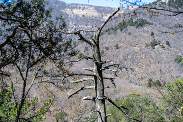 panoramic natural landscape on a sunny spring day in the mountains near the sea
