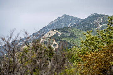 natural landscape on a sunny spring day in the vicinity of Anapa