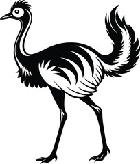 Obraz premium Ostrich silhouette, Ostrich silhouette vector, emu bird black silhouette, vector illustration