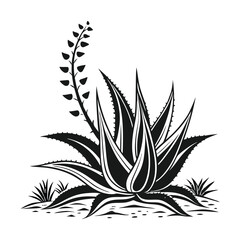 Monochrome Agave _ A Graphic Botanical Illustration