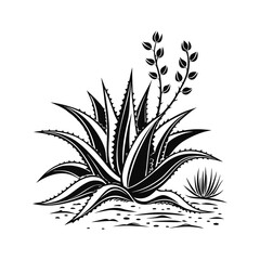 Monochrome Agave _ A Graphic Botanical Illustration