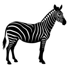 a zebra silhouette on a white background,