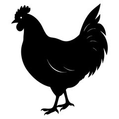 a hen silhouette on a white background,
