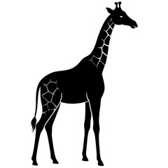 a giraffe silhouette on a white background,