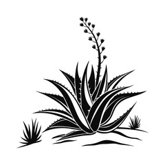 Monochrome Agave _ A Graphic Botanical Illustration