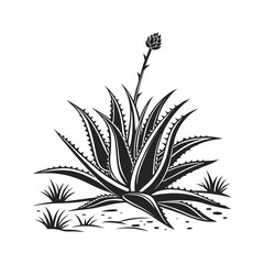 Monochrome Agave _ A Graphic Botanical Illustration