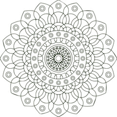 Beautiful flower art and mandala vector design