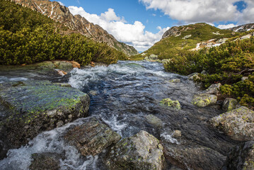 Wild mountain river in a rocky alpine valley, High Tatras, Poland fast-flowing mountain stream in a picturesque valley surrounded by pine shrubs and rocky slopes in the High Tatras mountains.