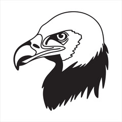 Scavenger Vulture Portrait in Natural Habitat Close-Up