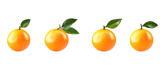 Oranges Against Transparent Background