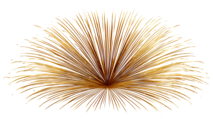 toothpicks isolated on white background