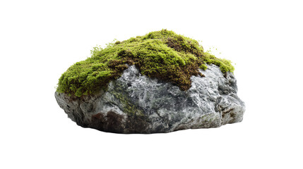 a rock covered in moss sitting on top of a white surface