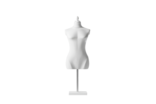 Female torso mannequin with stand  isolated on transparent background