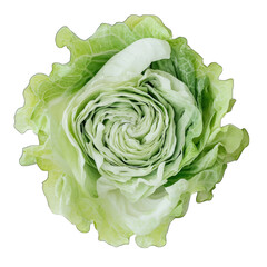 Obraz premium Fresh Green Cabbage, Isolated Vegetable Image, High-Resolution Stock Photo isolated on transparent