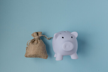 a piggy bank with a money bag lies on a blue background. A concept that allows you to save money on buying a piggy bank with a place for text on a blue background