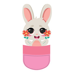 Adorable bunny in a pocket
