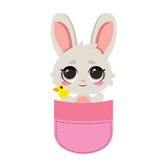 Adorable bunny in a pocket