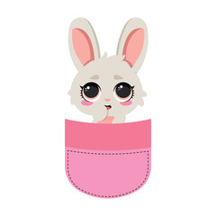 Obraz premium Adorable bunny in a pocket