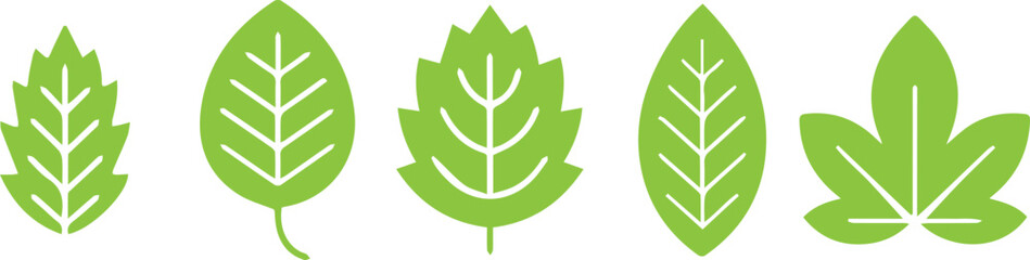 green leaves vector, botanical illustration, foliage art, leaf set, fresh leaves, natural leaf vector, eco leaves
