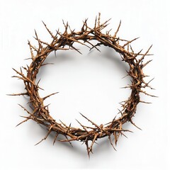 Thorn Crown Isolated White Background Jesus Passion Symbol Spike Art