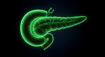 Glowing Green Human Pancreas 3D Medical Visualization