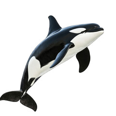 Realistic 3D Render of Orca Whale, Transparent Background