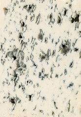 Blue Cheese piece textures background. Blue cheese texture with mold. Pattern