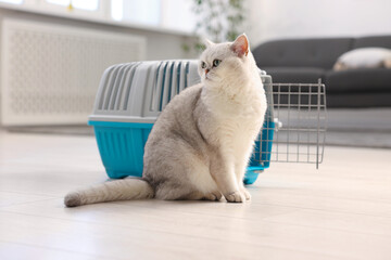 Cute cat and pet carrier on floor indoors © New Africa