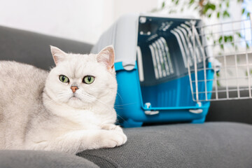Cute cat and pet carrier on sofa indoors, selective focus © New Africa