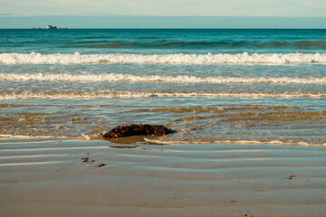 Fototapeta premium waves on the beach