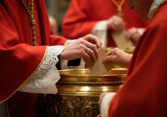  Cardinals Cast Their Ballots: A Moment Inside the Papal Conclave © Anna